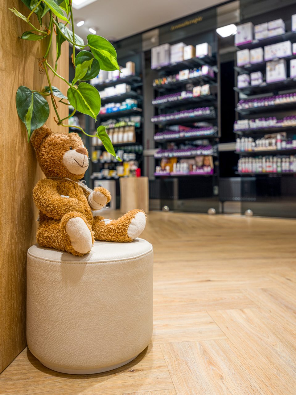 Ein Teddybär sitzt auf einem runden Polsterhocker neben einer Grünpflanze, dahinter die Regale der Freiwahl
